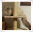 /album/benson/benson-05-jpg/